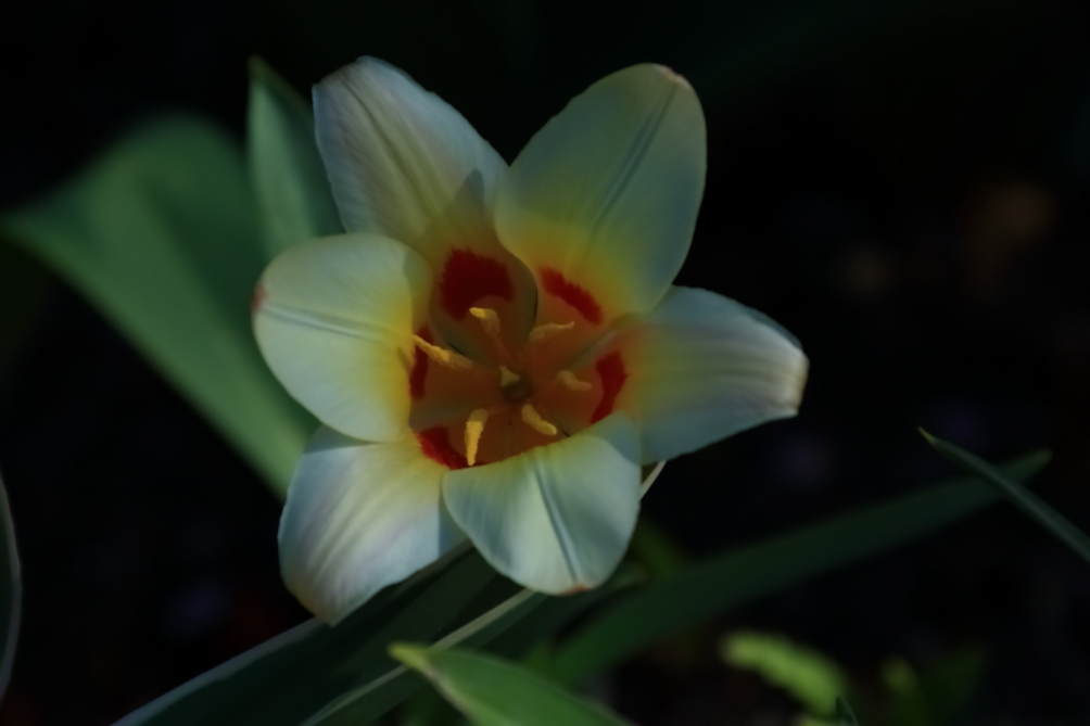 2012 04 08 HTP 90092