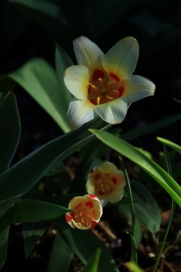 2012 04 08 HTP 90093