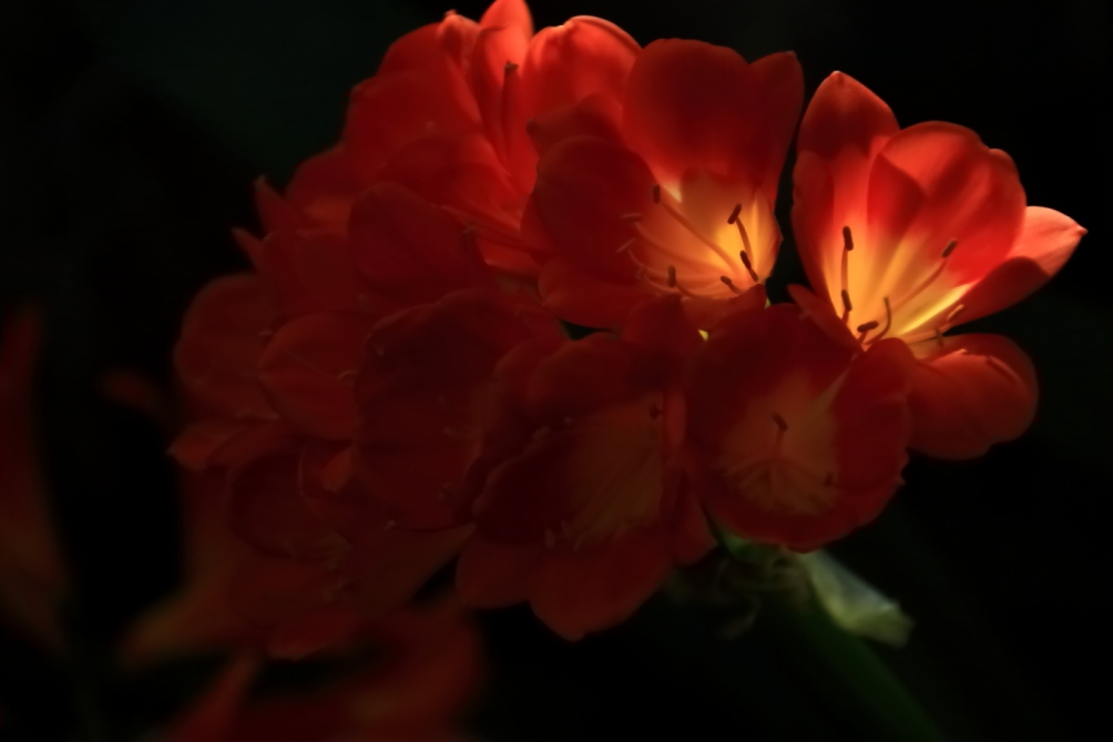 2012 04 08 HTP 90108