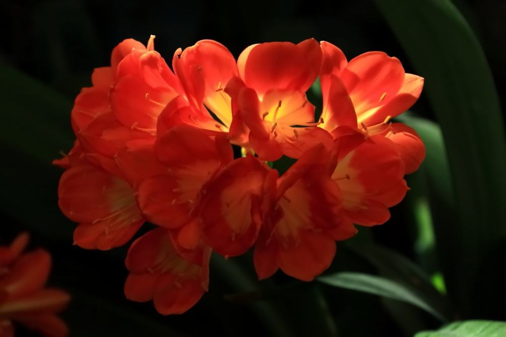 2012 04 08 HTP 90109