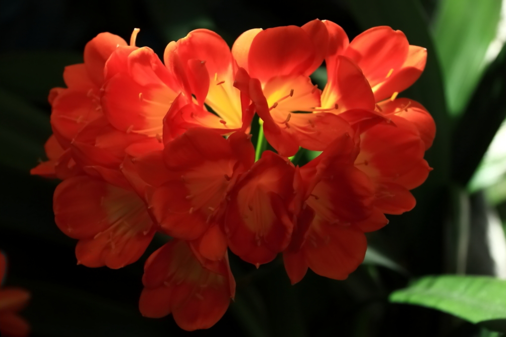 2012 04 08 HTP 90110