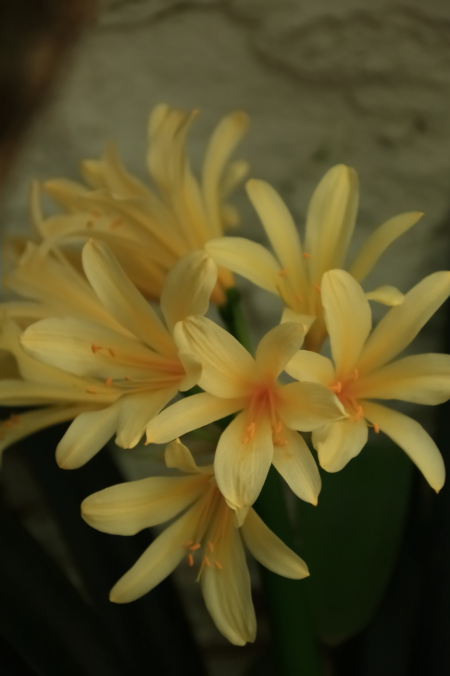 2012 04 08 HTP 90111