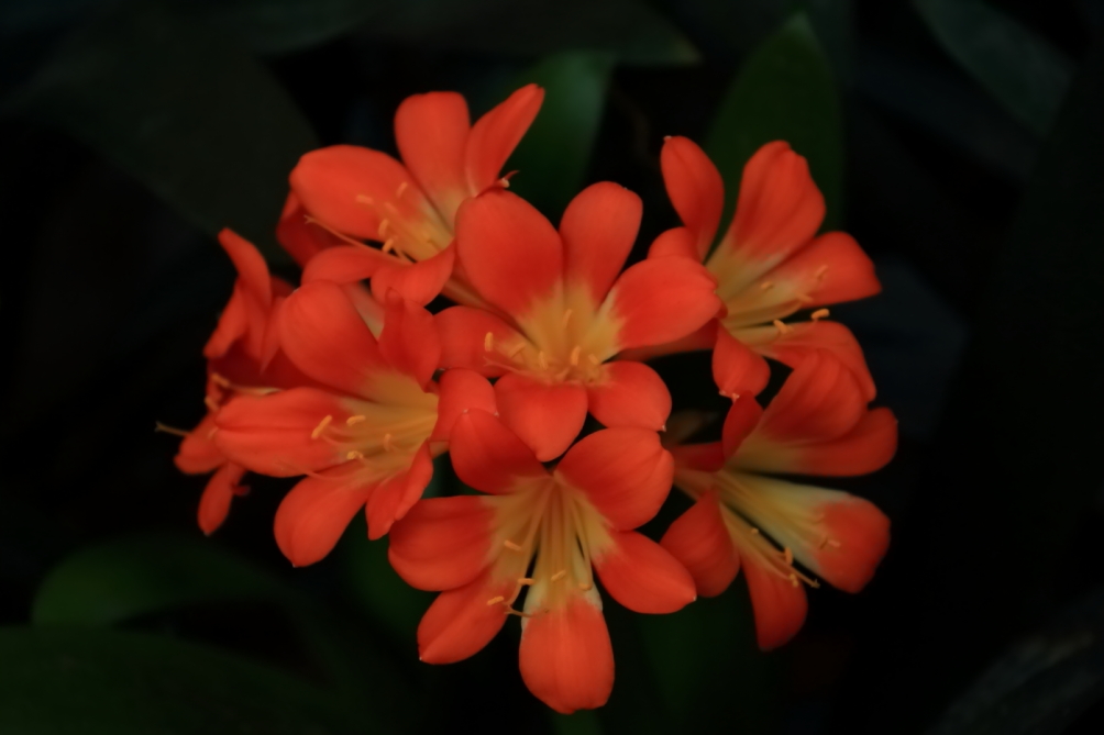2012 04 08 HTP 90112