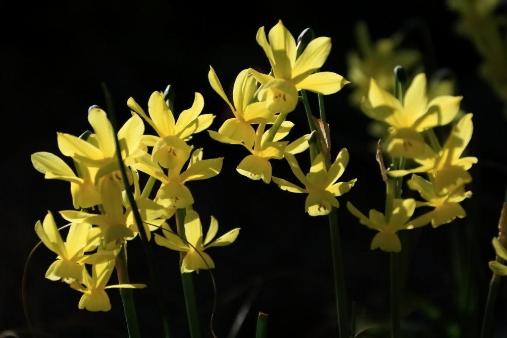 2012 04 08 HTP 90115