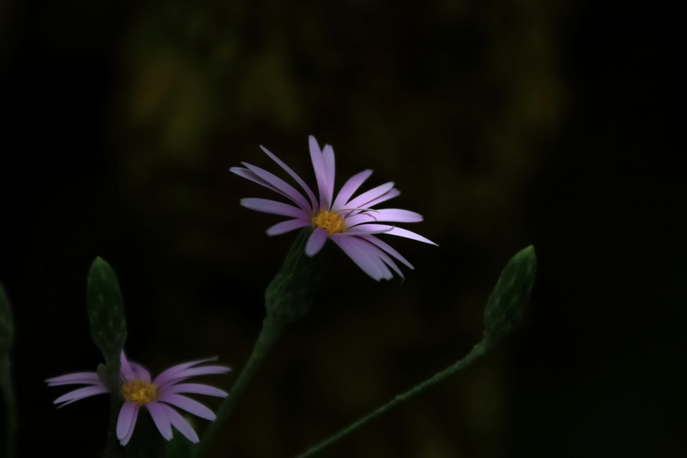 2012 04 08 HTP 90118