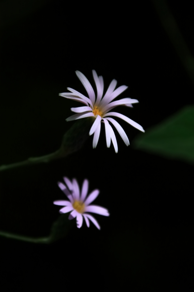 2012 04 08 HTP 90120