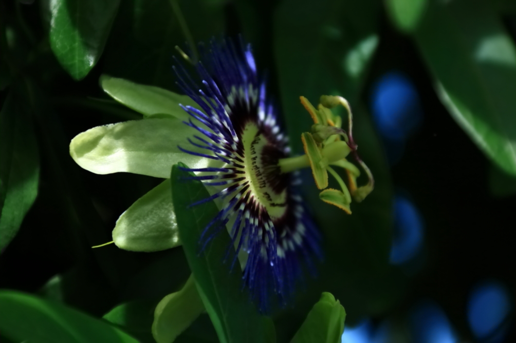2012 04 08 HTP 90125