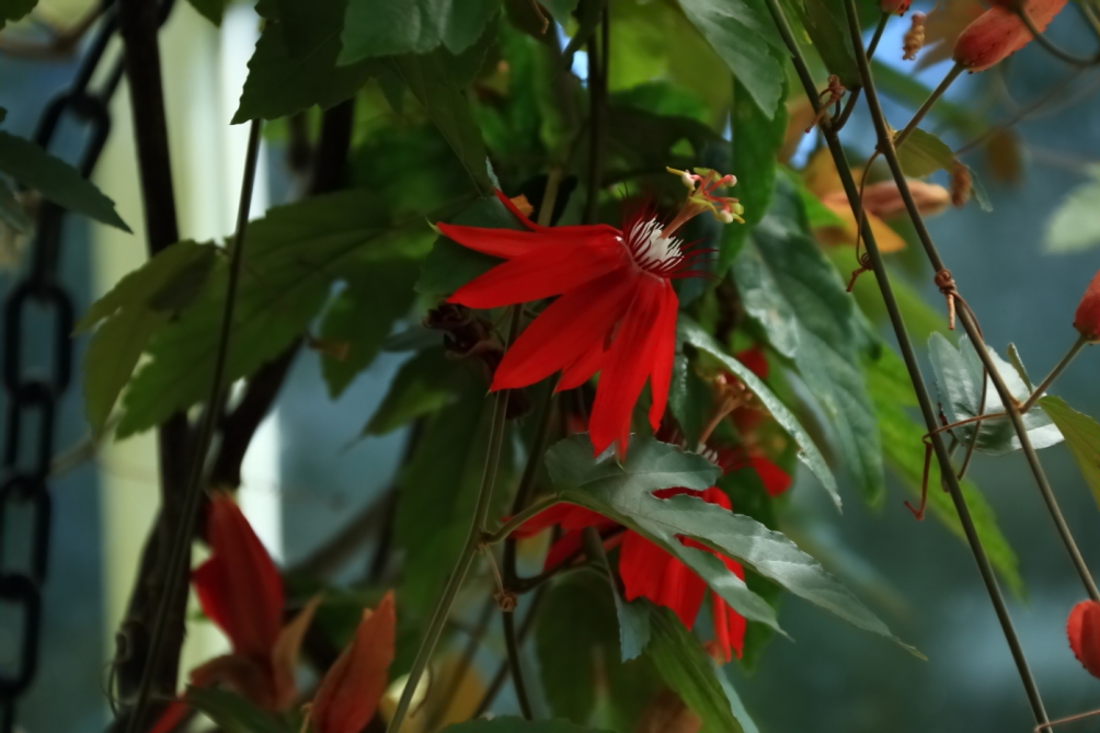 2012 04 08 HTP 90129