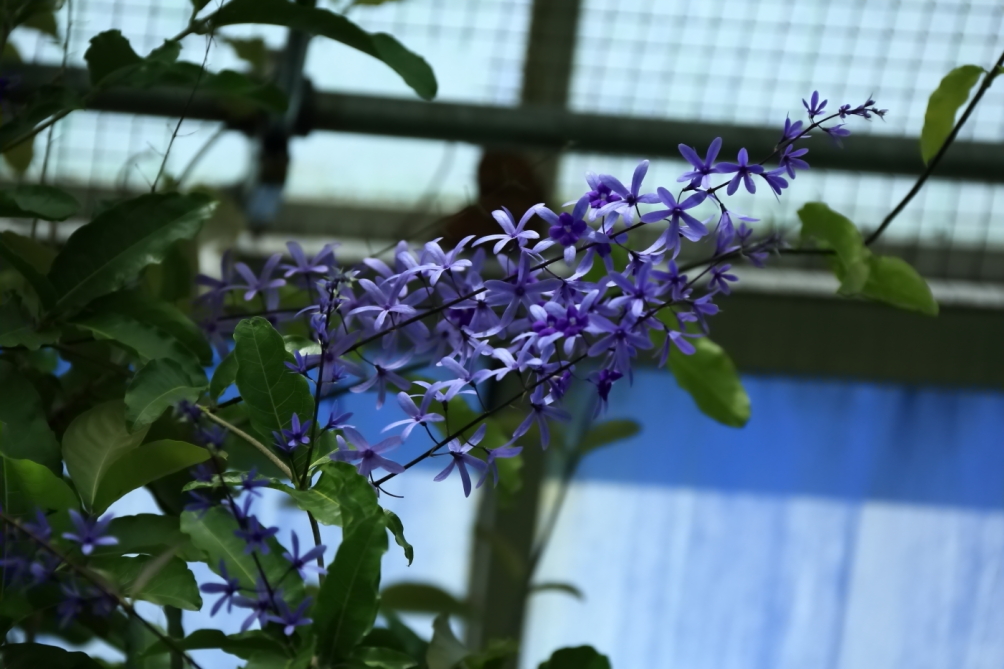 2012 04 08 HTP 90138