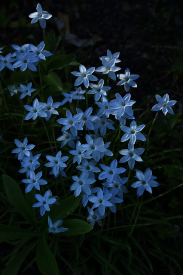 2012 04 08 HTP 90140