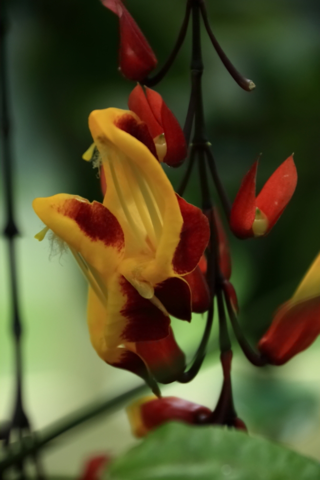 2012 04 08 HTP 90143