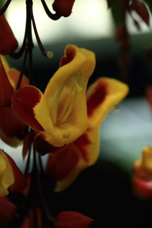2012 04 08 HTP 90144