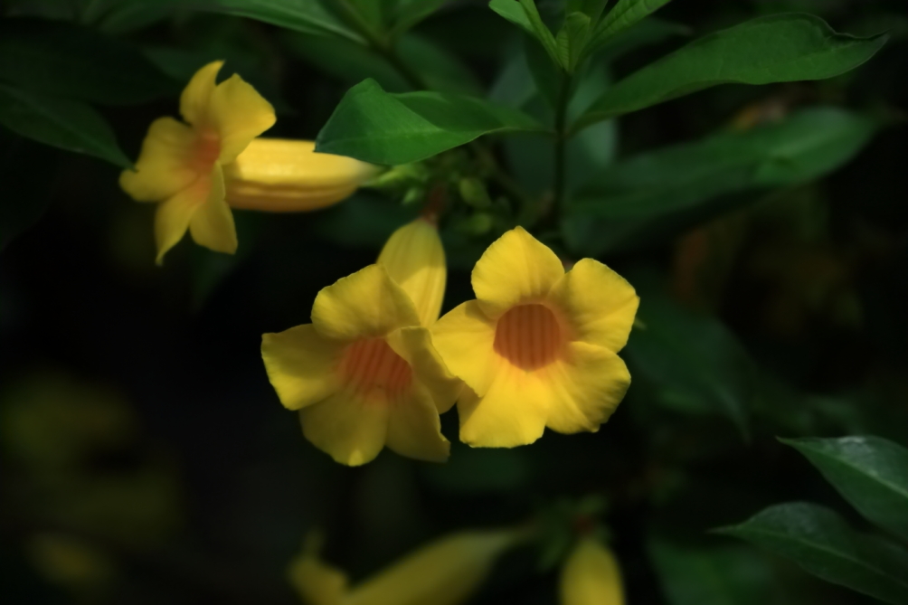 2012 04 08 HTP 90145