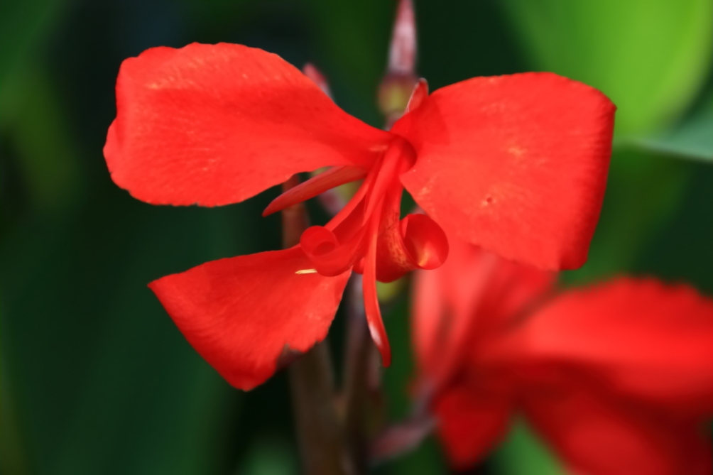 2012 04 08 HTP 90147