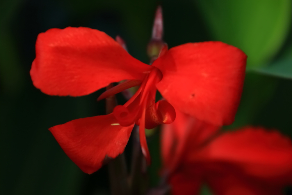 2012 04 08 HTP 90148