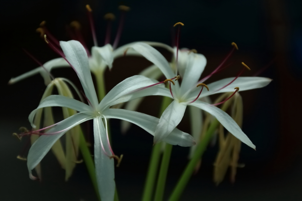 2012 04 08 HTP 90150