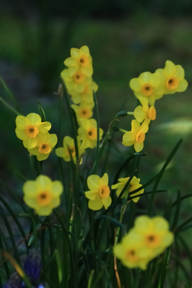 2012 04 08 HTP 90153