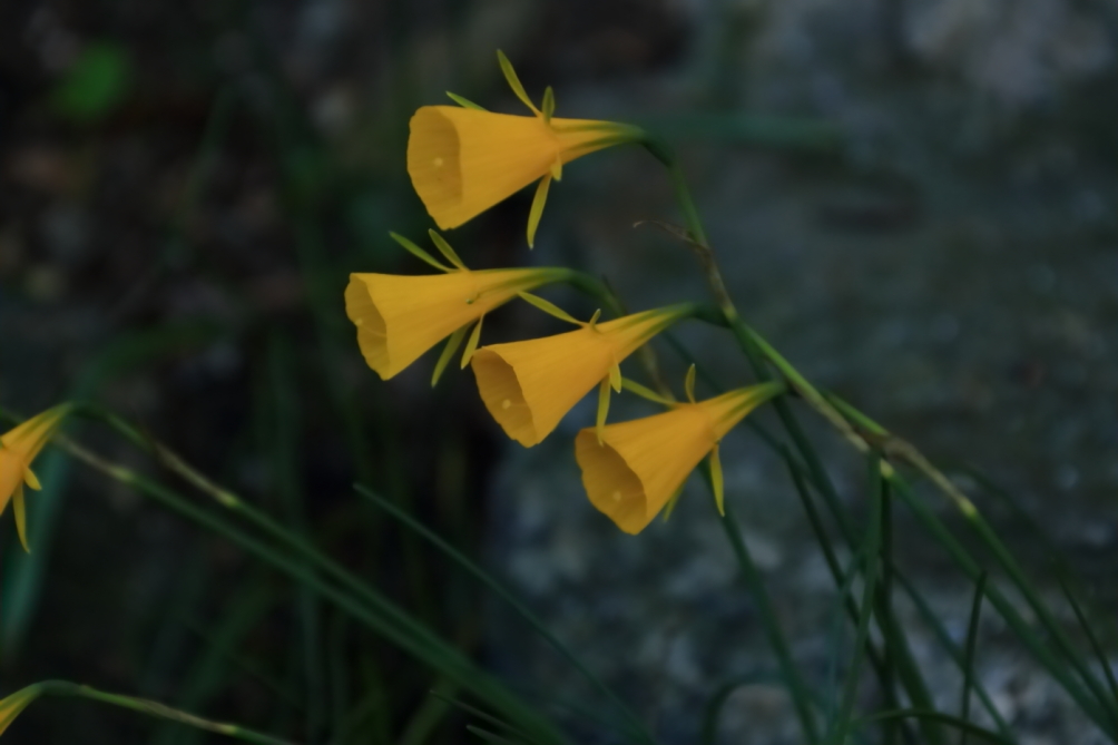 2012 04 08 HTP 90154