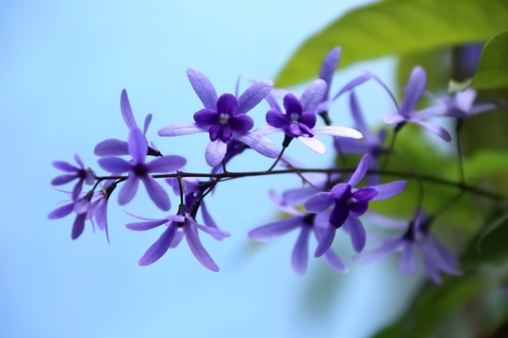 2012 04 08 HTP 90155