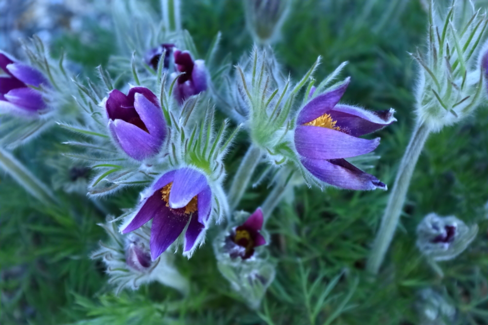 2012 04 08 HTP 90156