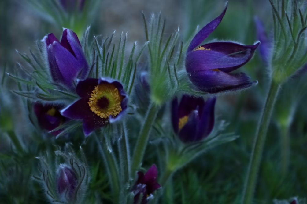 2012 04 08 HTP 90158