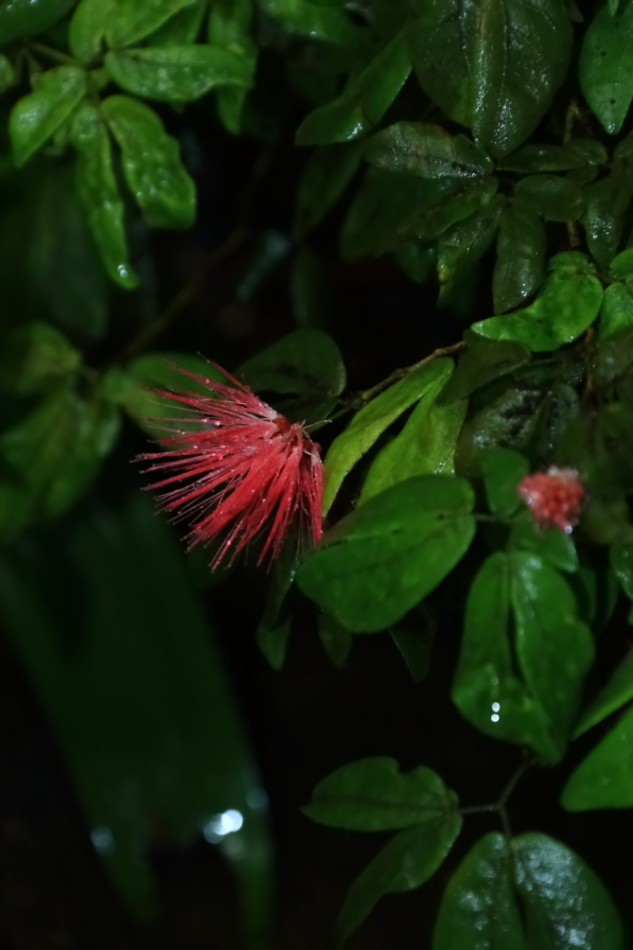 2012 04 08 HTP 90159