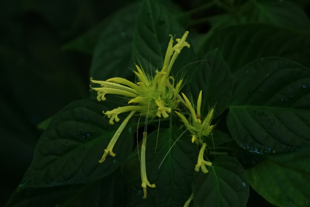 2012 04 08 HTP 90161