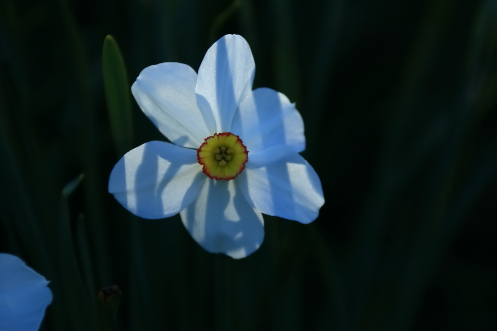 2012 04 08 HTP 90162