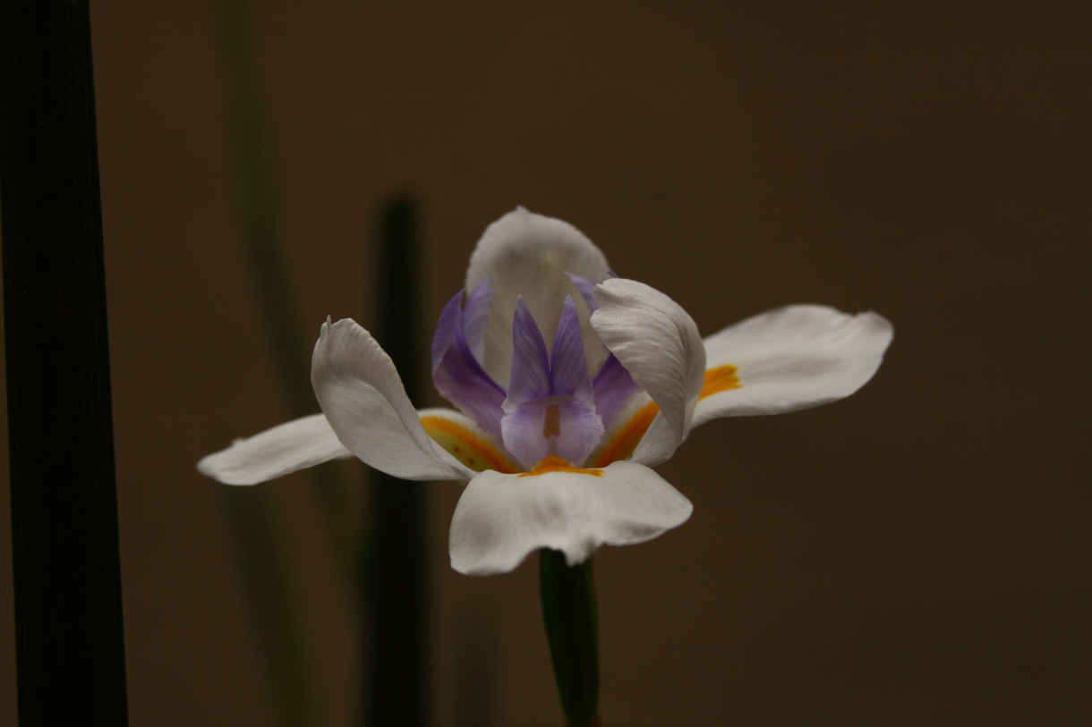 2014 04 20 HTP 44624