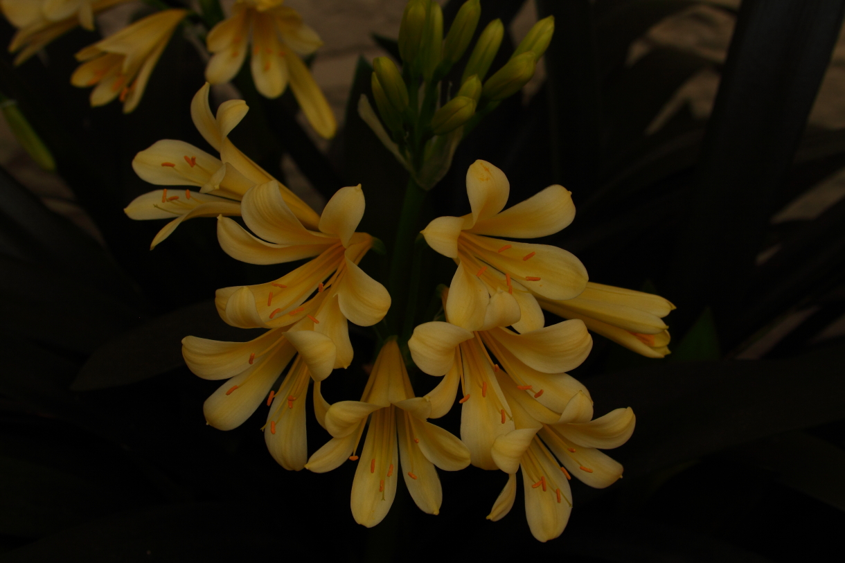 2014 04 20 HTP 44631