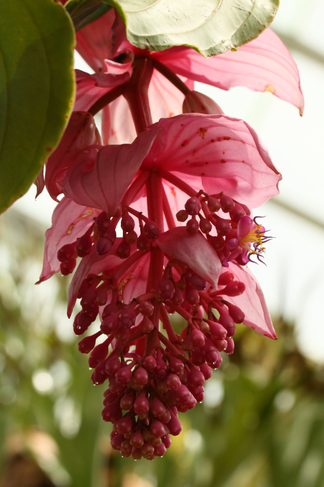 2014 04 20 HTP 44645