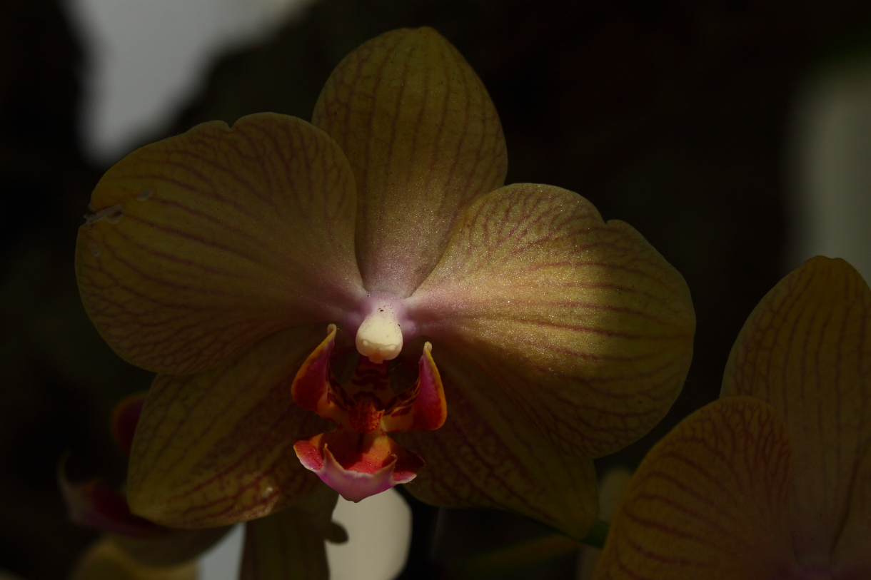 2014 04 20 HTP 44659