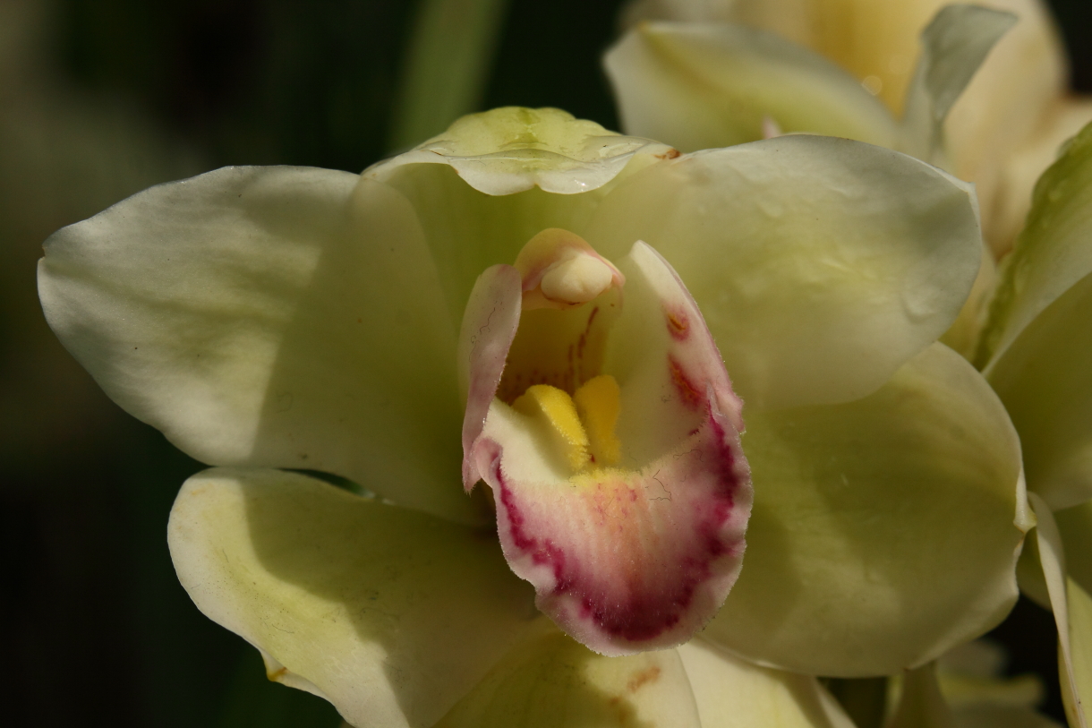 2014 04 20 HTP 44681