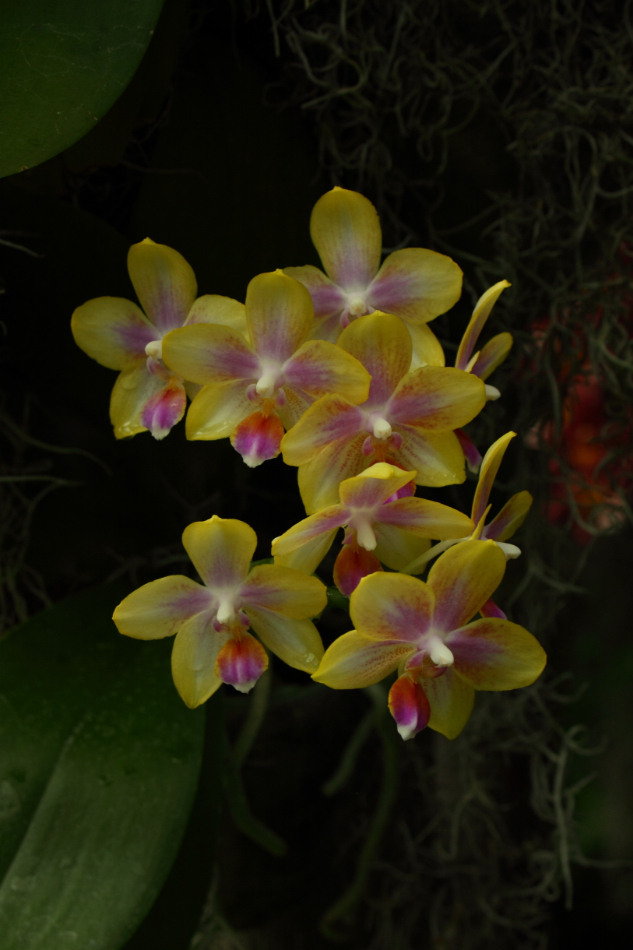 2014 04 20 HTP 44692