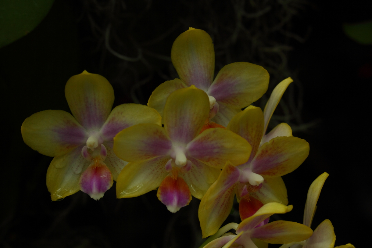 2014 04 20 HTP 44696