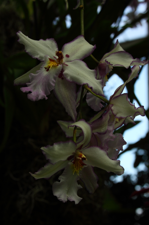 2014 04 20 HTP 44723