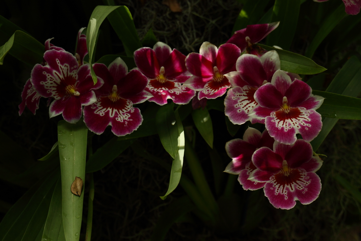 2014 04 20 HTP 44735