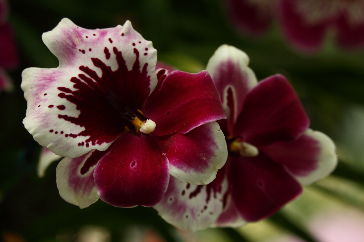 2014 04 20 HTP 44749