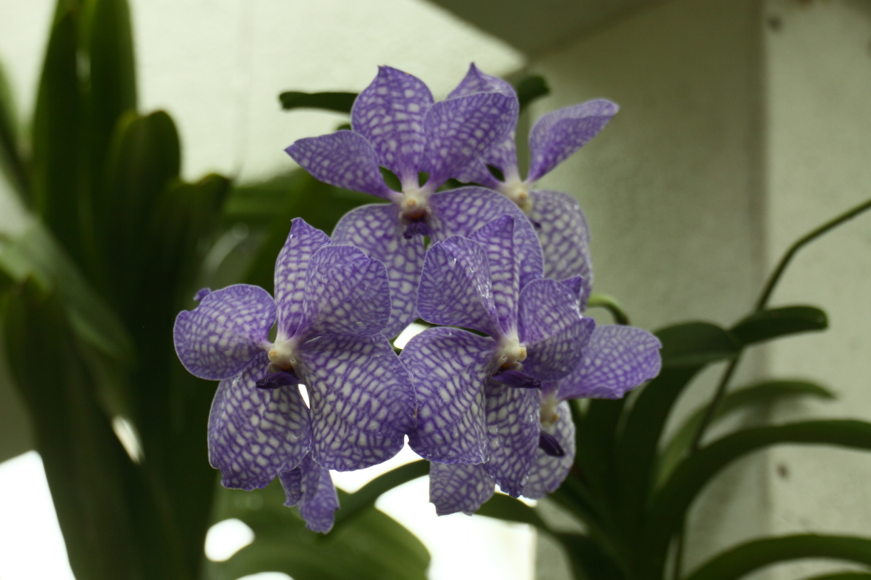 2014 04 20 HTP 44756