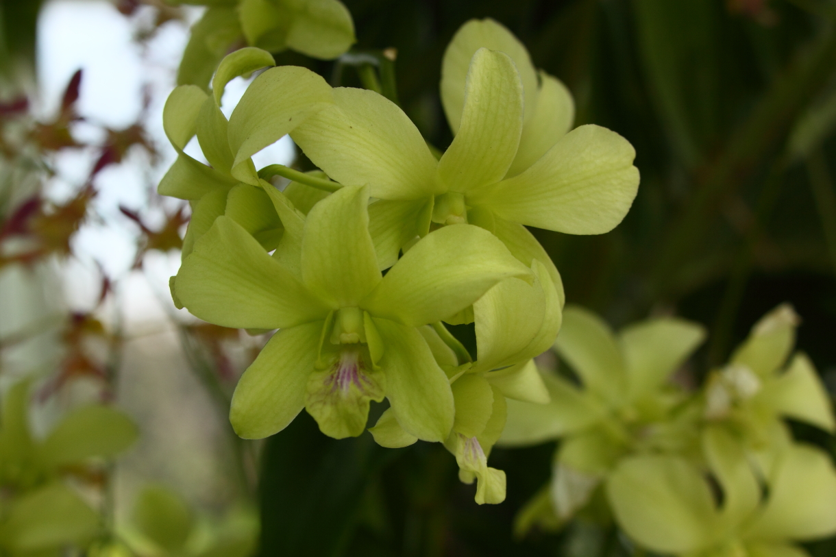 2014 04 20 HTP 44776