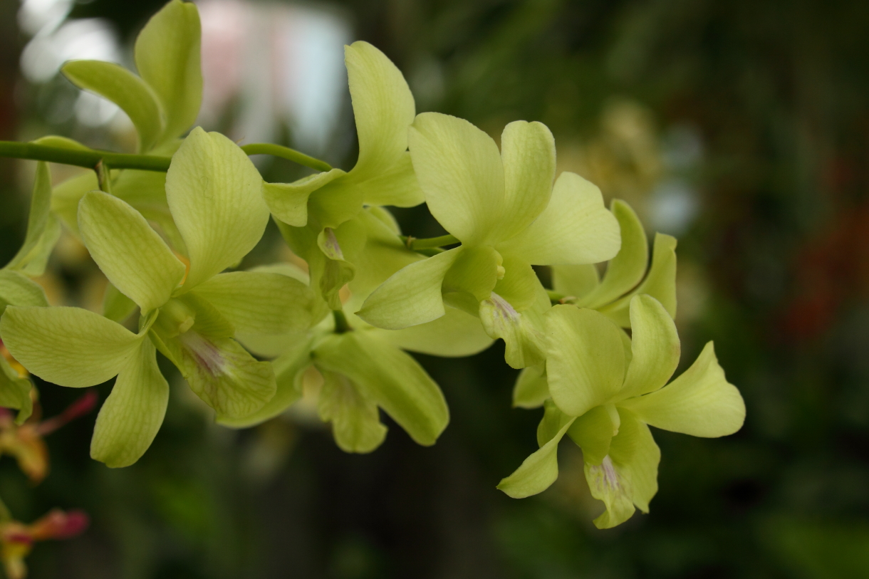 2014 04 20 HTP 44780