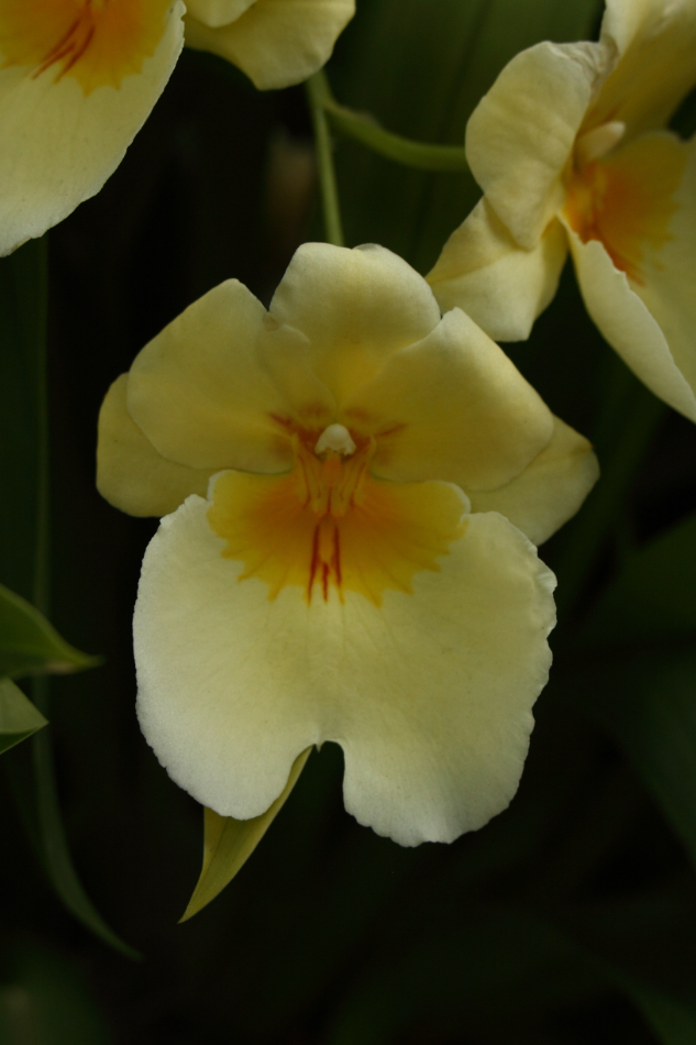 2014 04 20 HTP 44785