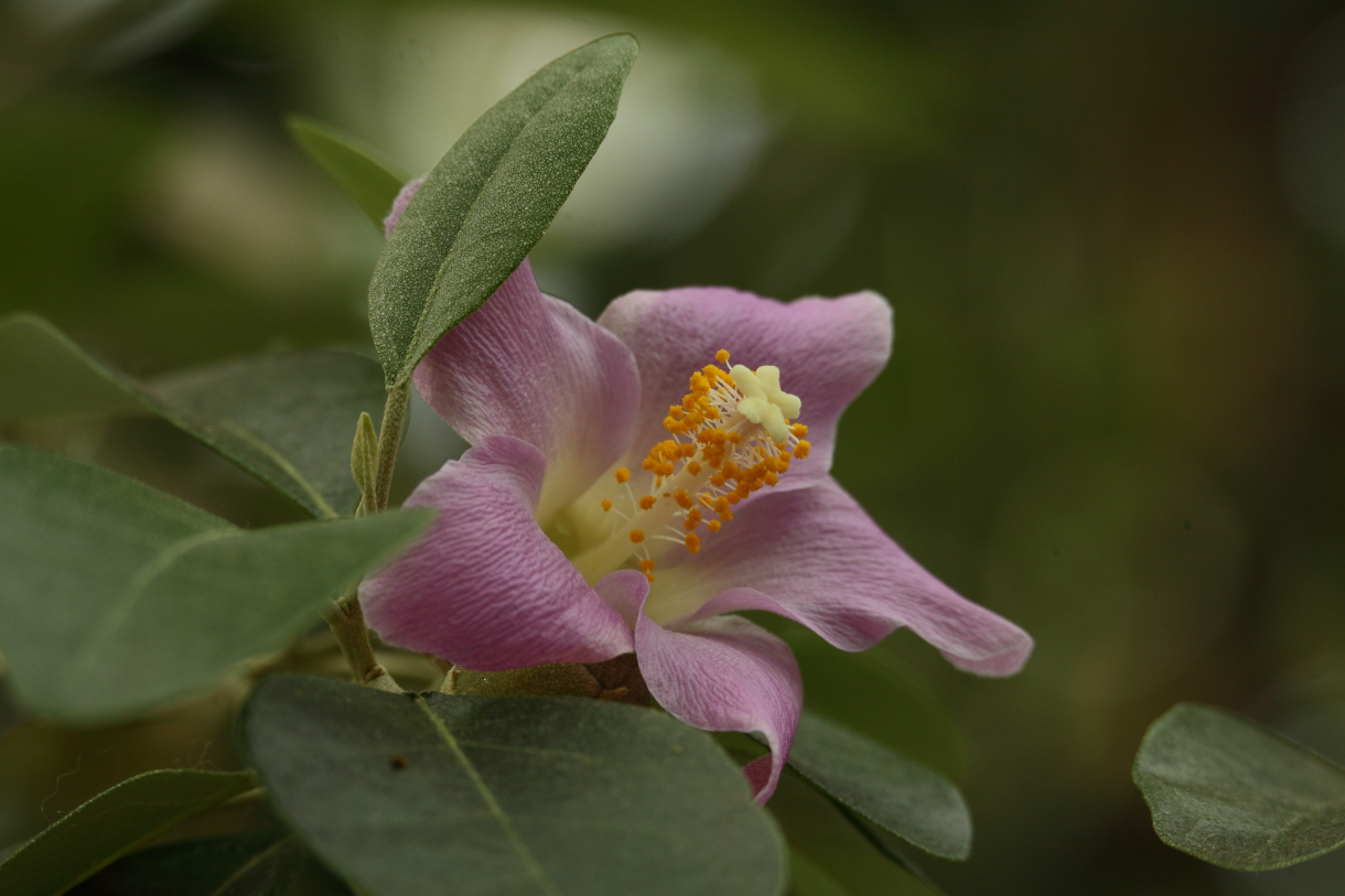 2014 04 20 HTP 44791