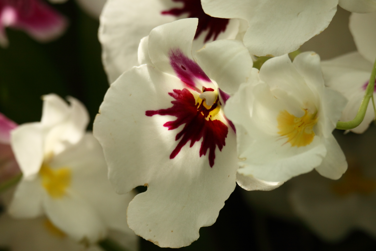 2014 04 20 HTP 44831