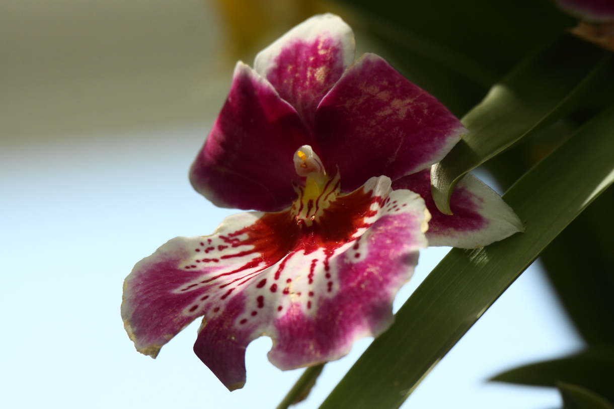 2014 04 20 HTP 44835