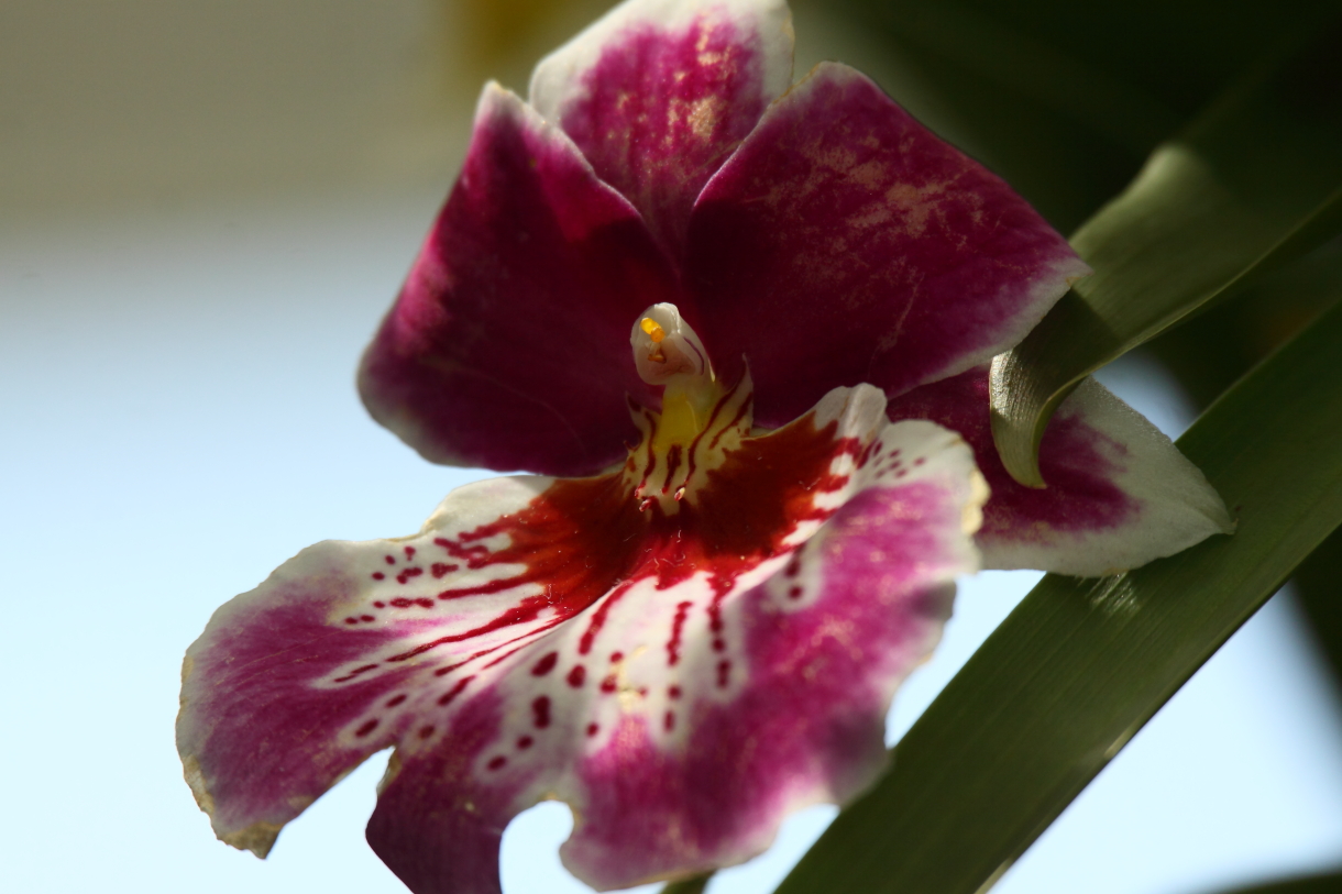 2014 04 20 HTP 44838