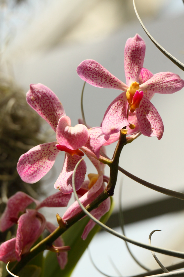 2014 04 20 HTP 44858