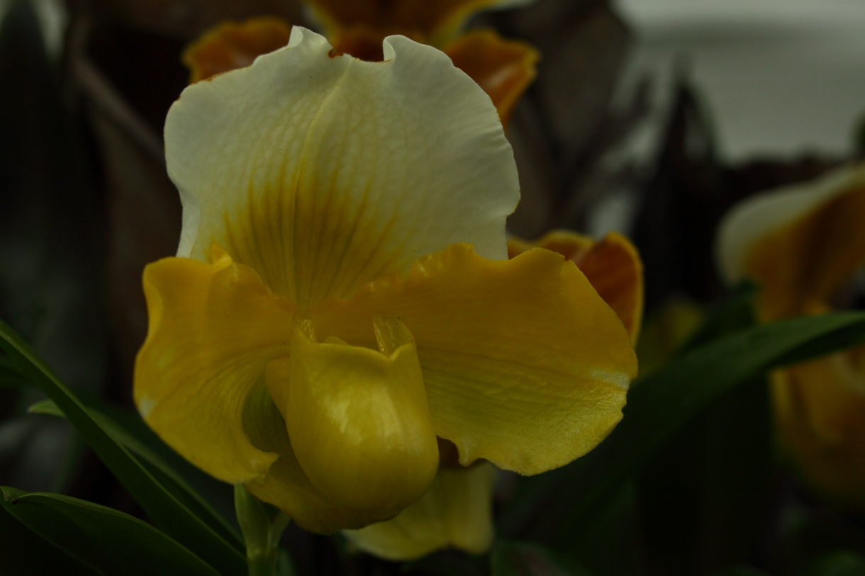 2014 04 20 HTP 44867