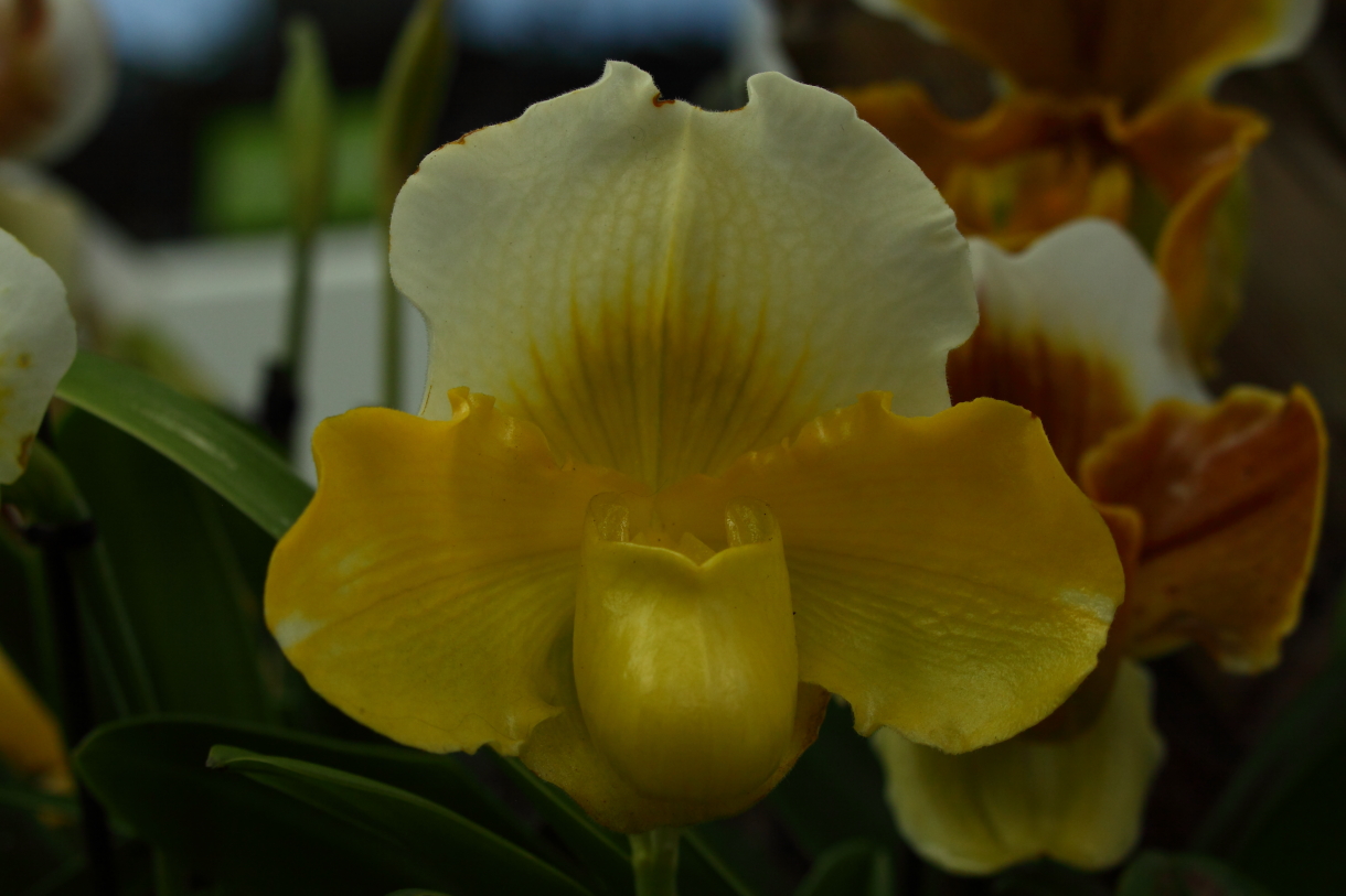 2014 04 20 HTP 44871