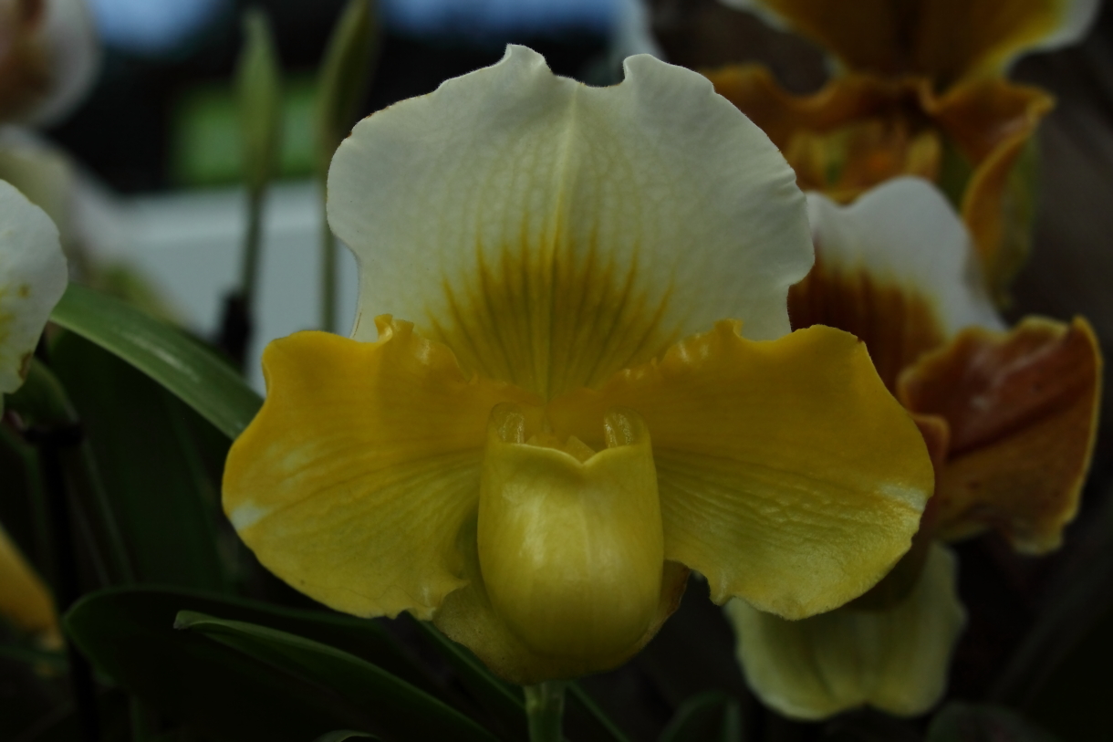 2014 04 20 HTP 44872e